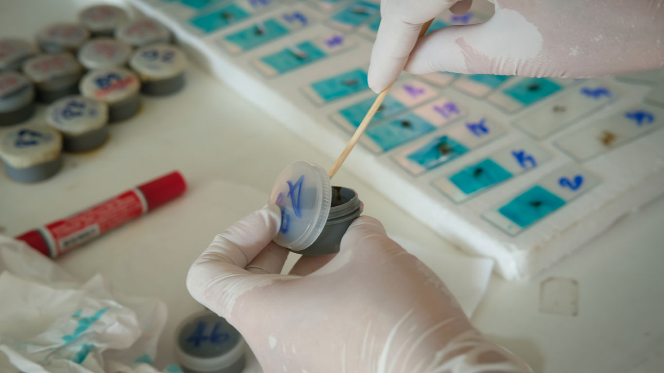 Анализ кала