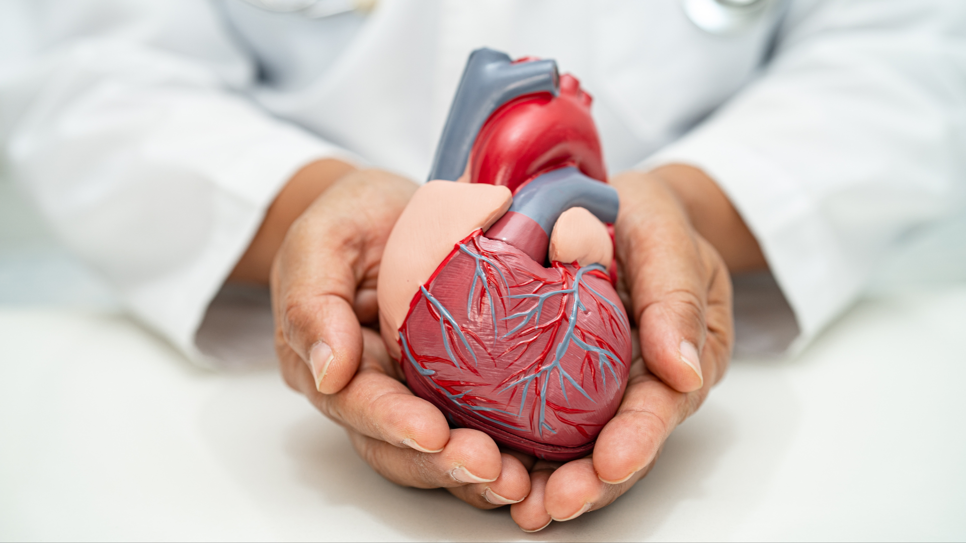 Үлкен сиськи үлкен сиськи сиськи арасында