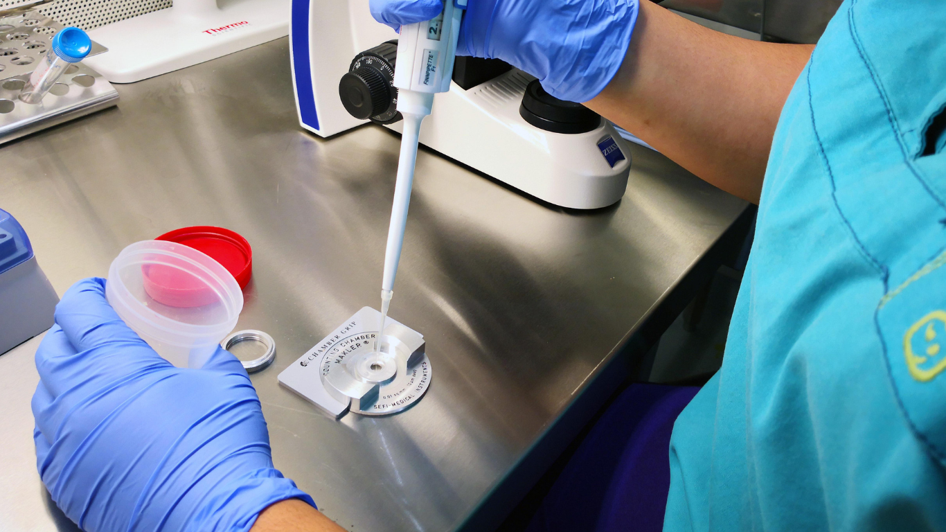 Ит стиліндегі шұлықтардағы анальный порно