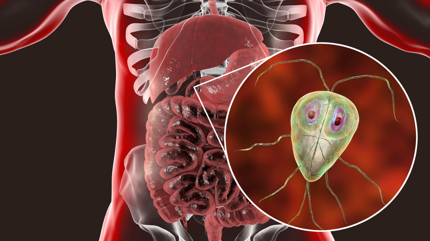 Орыс қыздарының үйдегі жеке суреттері